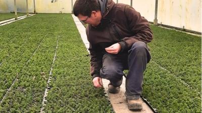 Patrick bij de plantjes in Kwekerij de Hoef