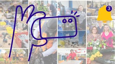 Collage van foto's en een hand met een telefooncamera