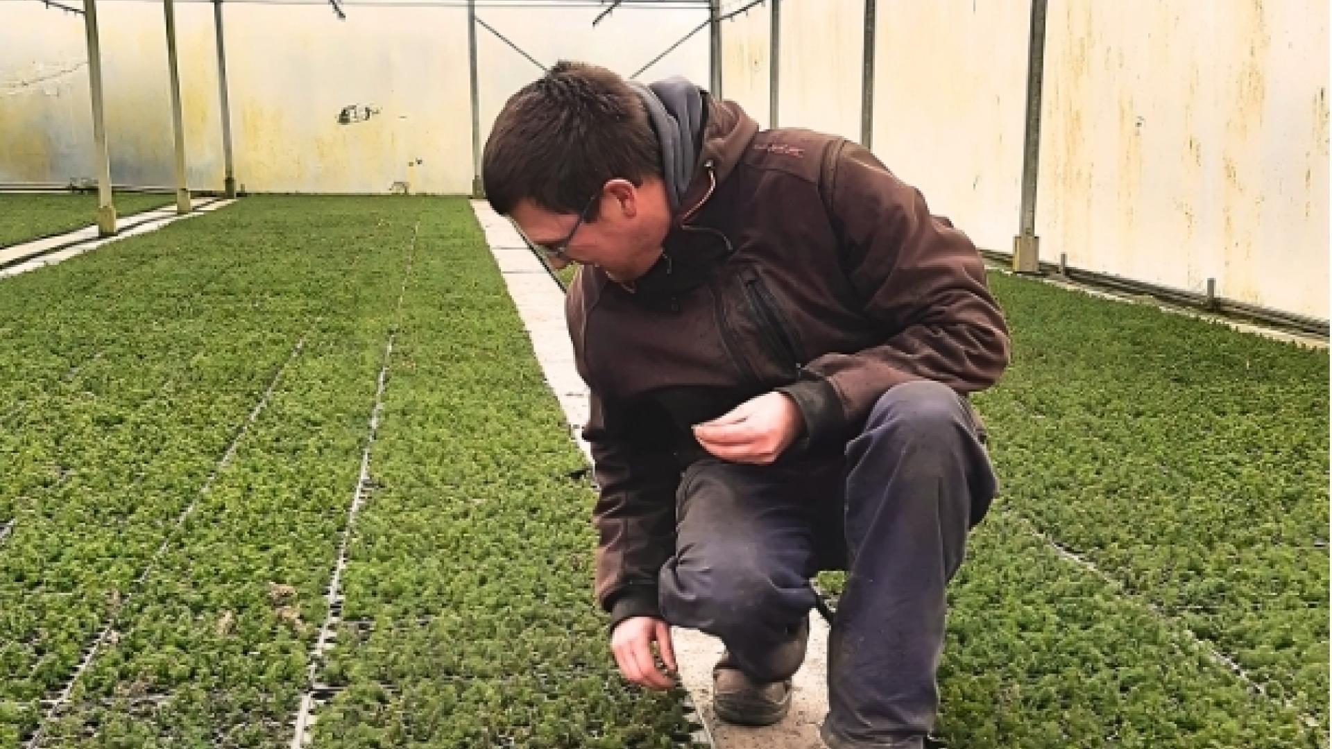 Patrick bij de plantjes in Kwekerij de Hoef