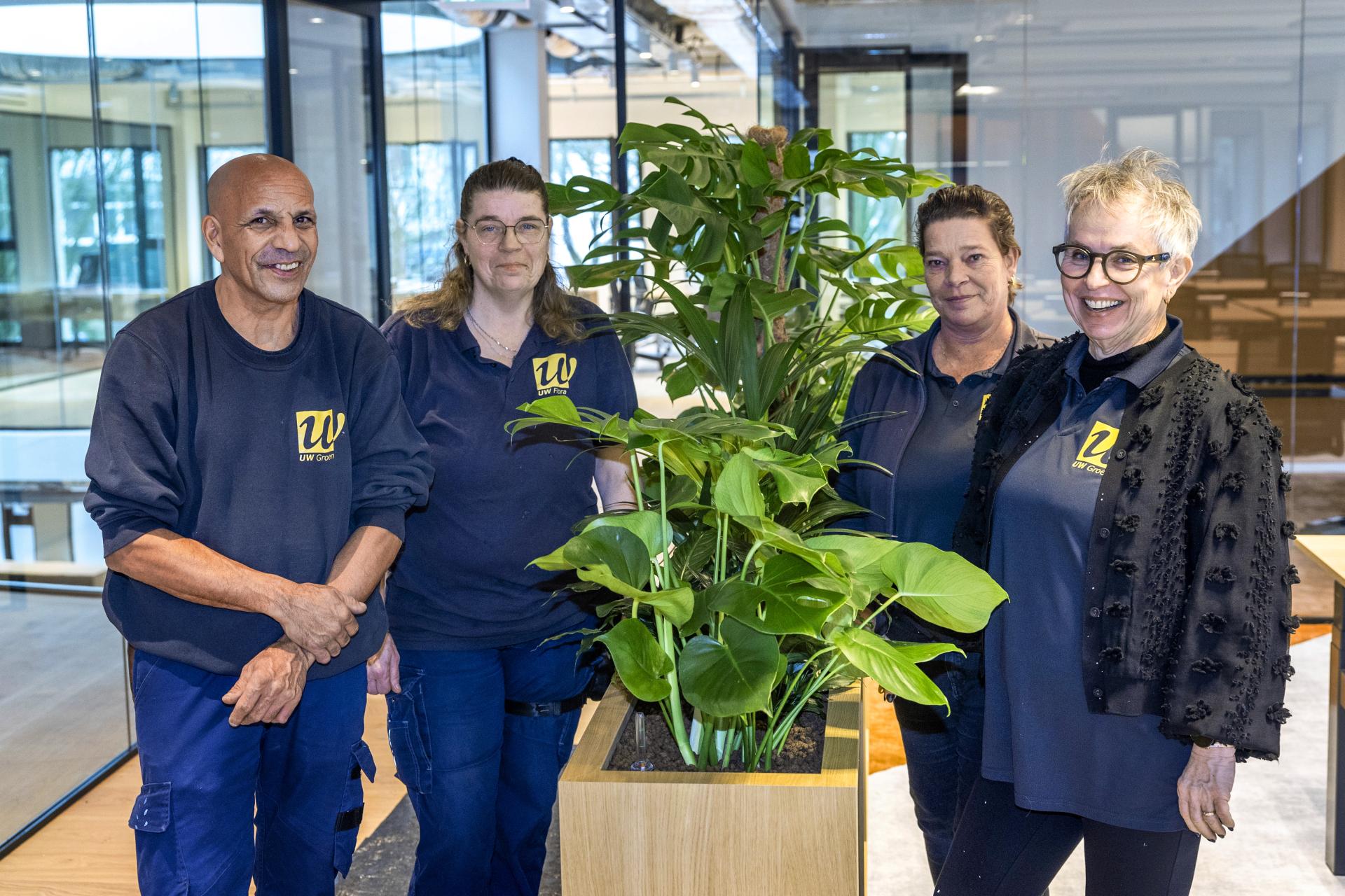 Het team van interieurbeplanting