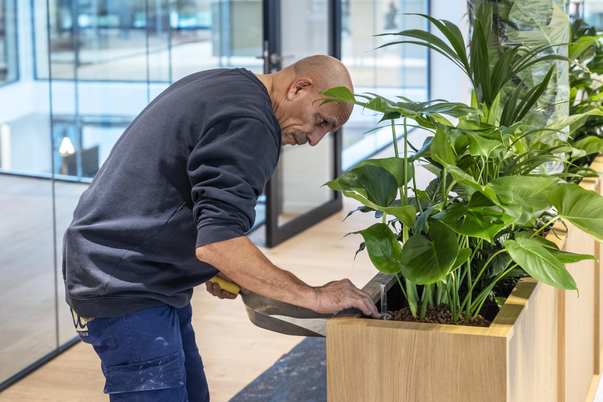 Medewerker vult een plantenbak 