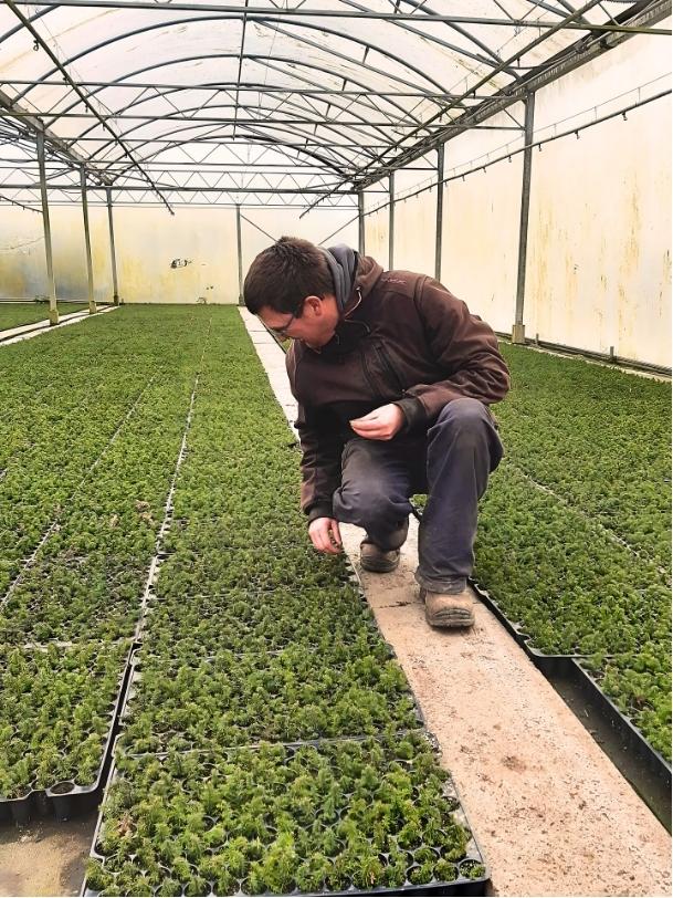 Patrick bij de plantjes in Kwekerij de Hoef