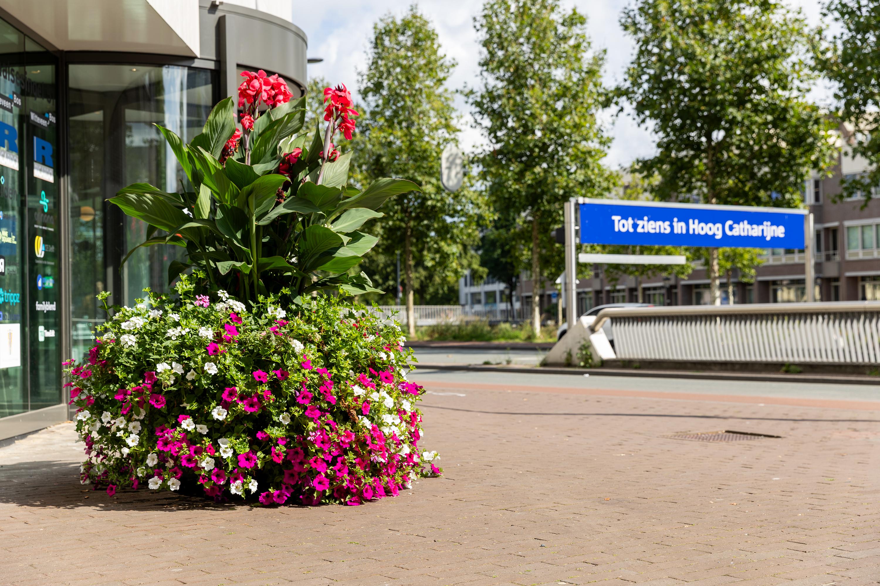Bloemen in de stad